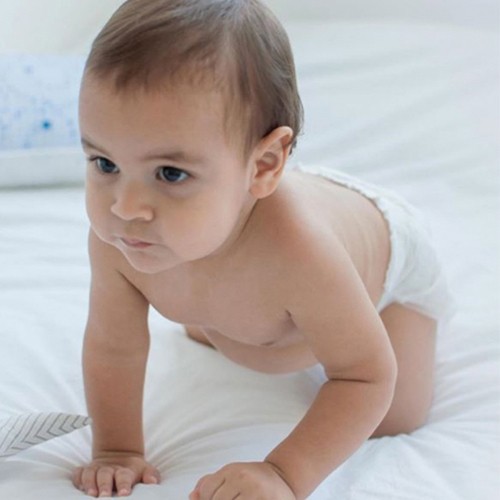 Nateen Baby Diapers Premium Eco-Friendly Medium 72 Count