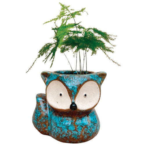 Fox Pot With Fern 2in