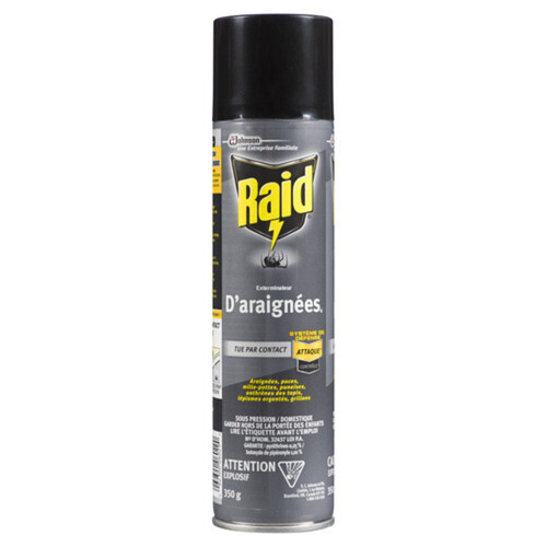 Raid Spider Blaster Insect Killer Spray 350 g