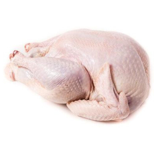 Fresh Turkey 3-5 kg