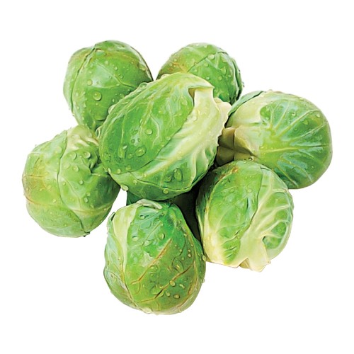 Organic Brussels 454 g
