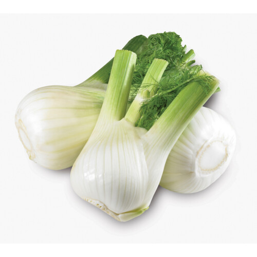 Endive Lettuce (Chicory) 1 Bunch