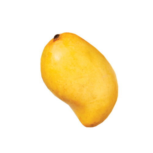 Ataulfo Mango 1 Count