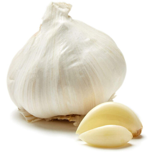 Garlic