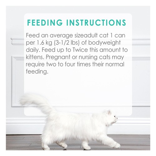 Fancy Feast Wet Cat Food Pâté  Cod Sole & Shrimp Feast 85 g