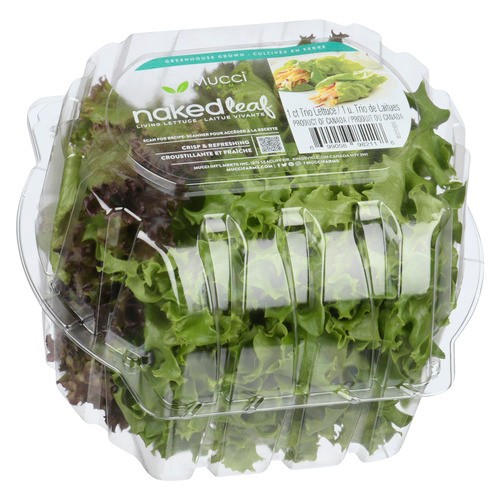 Naked Leaf Lettuce Trio Frisee 1 Count