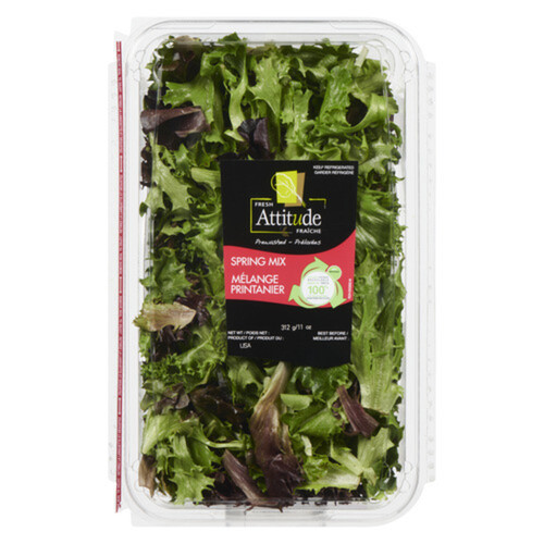 Fresh Attitude Spring Salad Mix 312 g