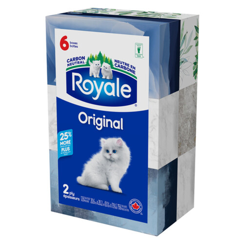 Royale Facial Tissues 2-Ply 6 Boxes x 126 Sheets 