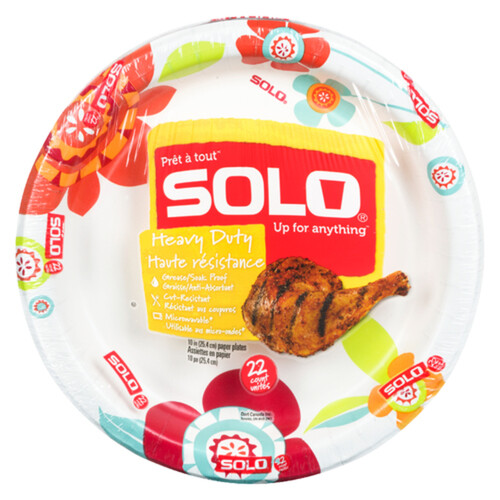 Solo Decorated Paper Plate 10 Inch 22 Pack