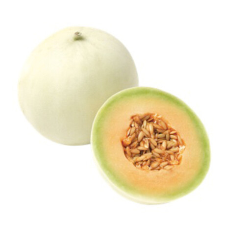 Orange Flesh Honeydew 1 Count 