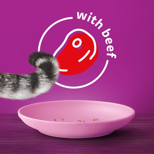Whiskas Beef Selections Adult Dry Cat Food  Natural Beef Flavour 4 kg