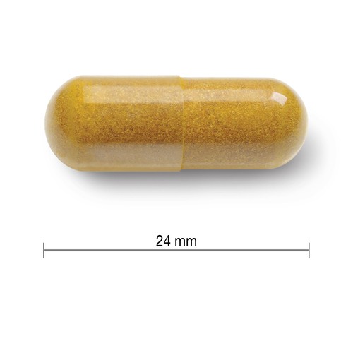 Jamieson Supplement Curcumin Turmeric Vegetarian Capsules 90 Count