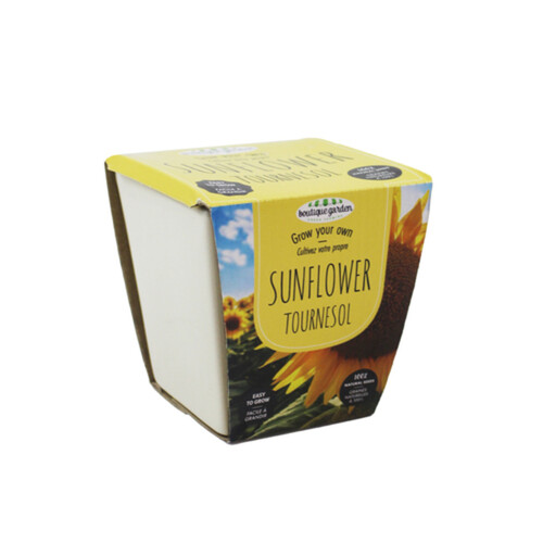 Sunflower Grow Kit With Ceramic Pot 1 EA