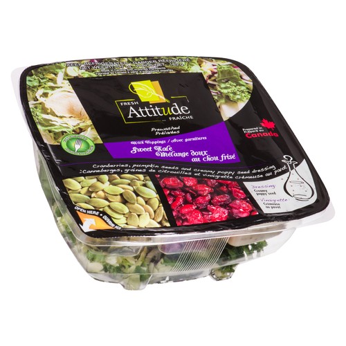 Fresh Attitude Salad Kit Sweet Kale Mix 163 g