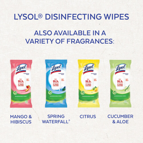 Lysol Disinfecting Wipes Spring Waterfall Flatpack 84 Count