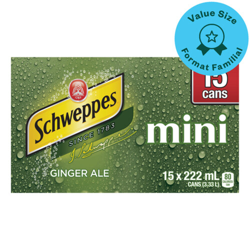 Schweppes Ginger Ale Minis 15 x 222 ml (cans)