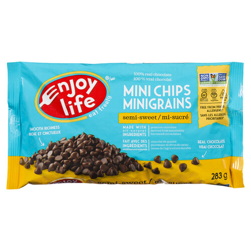 Enjoy Life Gluten-Free Mini Chips Semi Sweet 283 g