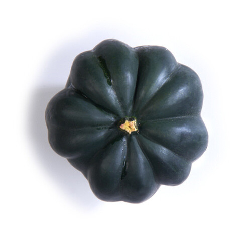 Acorn Pepper Squash 1 EA