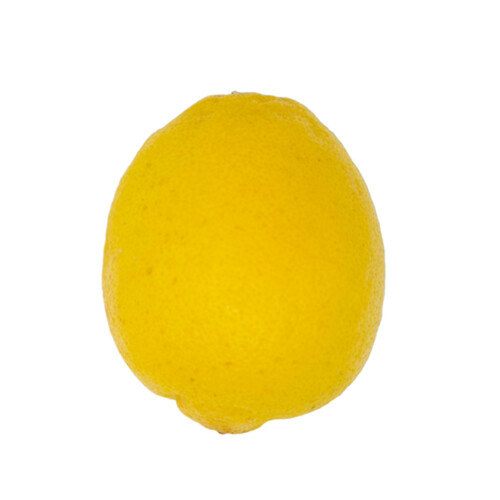 Organic Lemon 1 Count