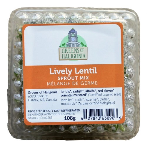 Greens of Haligonia Lively Lentil Sprout Mix 108 g