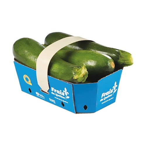 Green Zucchini Basket 3 L