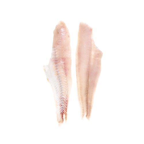 Fresh Hake Fillets