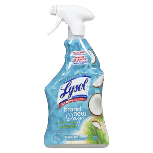 Lysol All Purpose Cleaner With Trigger 650 ml