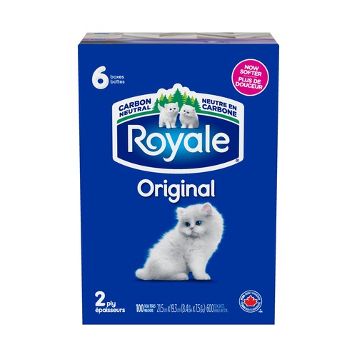 Royale Original Facial Tissue 2 Ply 6 Boxes x 100 Sheets