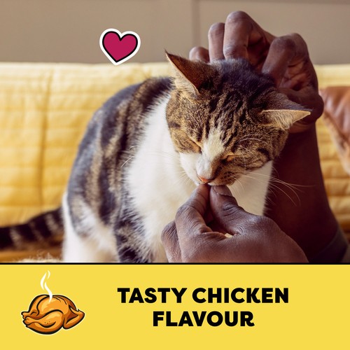 Temptations Adult Cat Treats Tasty Chicken Flavour Tub 454 g