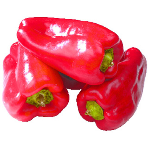 Peppers Shepherd 4 count