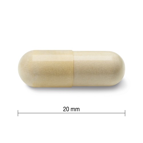 Jamieson Glucosamine Regular Strength Capsules 360 Count