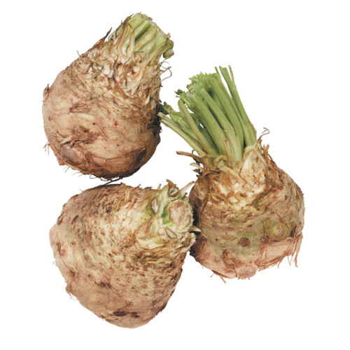 Celery Root 1 Count