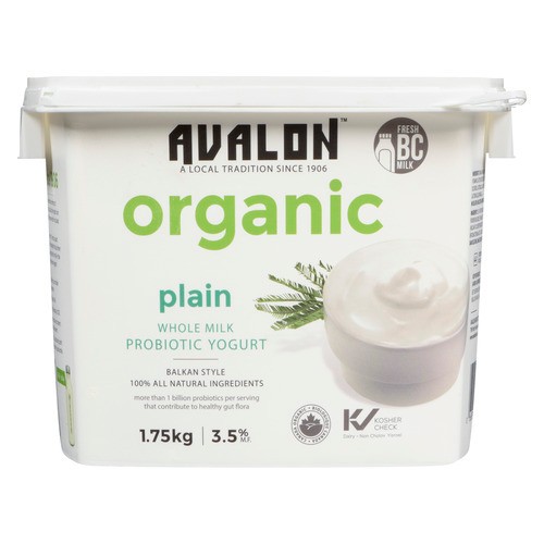 Avalon Dairy Organic Probiotic Plain Yogurt 1 EA
