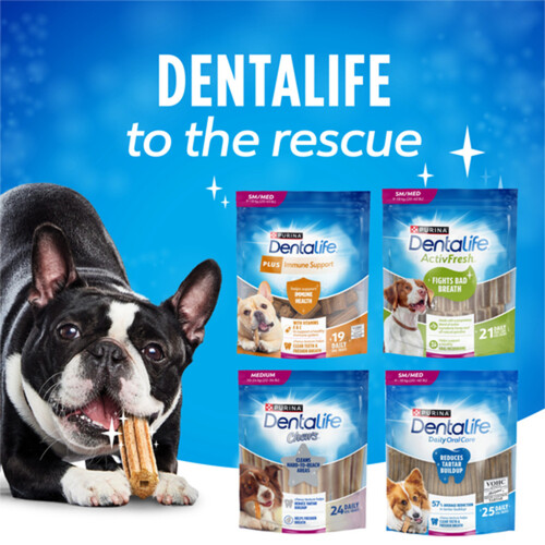 DentaLife Dog Treats Mini Breed Daily Oral Care 485 g