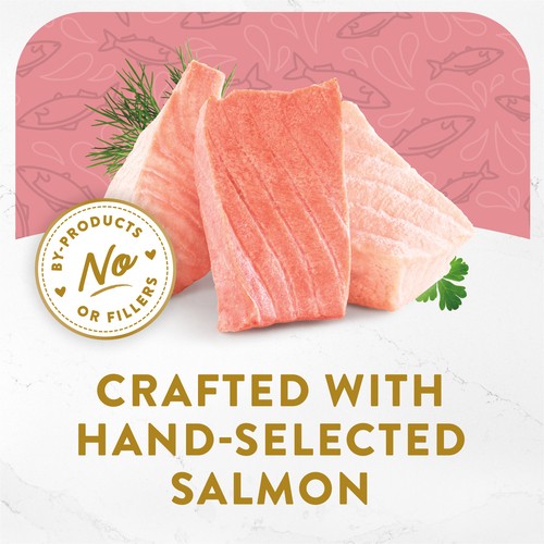 Fancy Feast Hors d'Oeuvre Cat Treats Steamed Wild Alaskan Salmon Appetizer 57 g