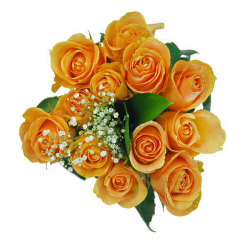 Rose Orange 1 Dozen 