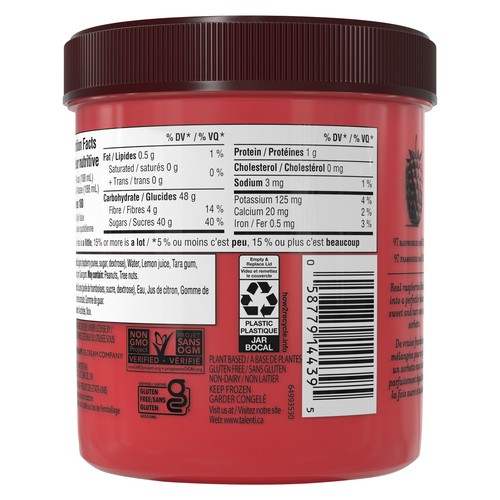 Talenti Dairy-Free Sorbetto Roman Raspberry 473 ml
