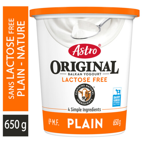 Astro Original Yogurt Lactose Free Plain Balkan 6% 650 g