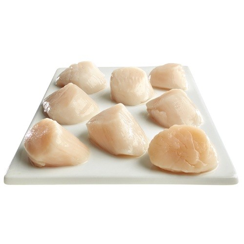 Frozen Scallops 20-30 Count