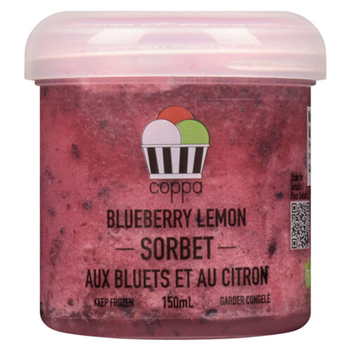 Coppa Di Gelato Blueberry Lemon Sorbet 150 mL