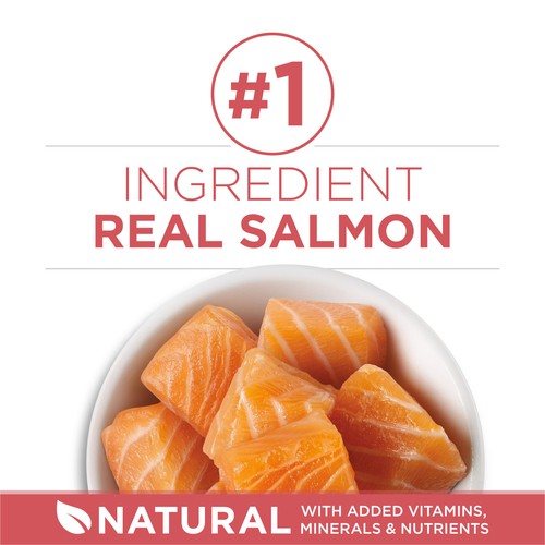 Purina One Indoor Advantage Dry Cat Food Salmon 1.8 kg