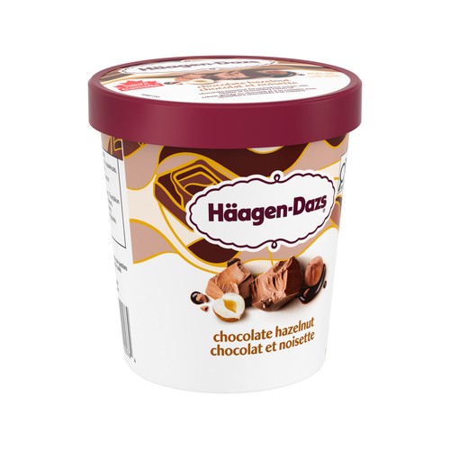 Haagen-Dazs Ice Cream Chocolate Hazelnut 450 ml