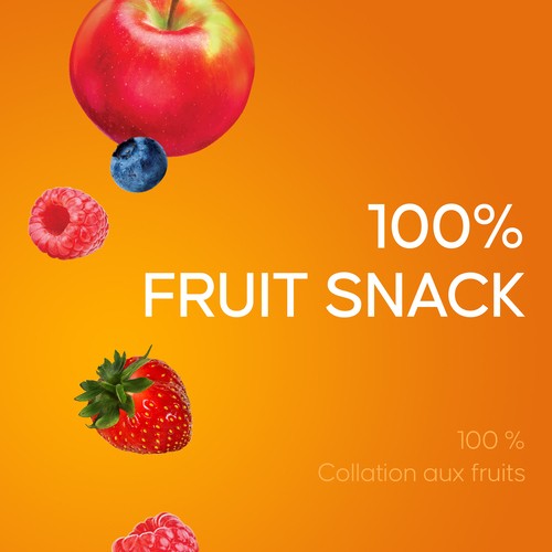 SunRype Fruit To Go 100% Fruit Snack Pack 24 x 14 g