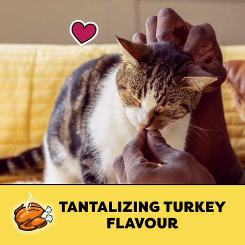 Temptations Adult Cat Treats Tantalizing Turkey Flavour 180 g