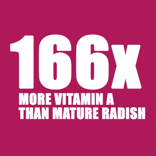 GoodLeaf Micro Radish 50 g
