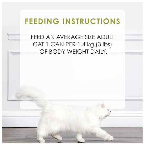 Purina Fancy Feast Wet Cat Food Medleys Chicken Florentine 85 g