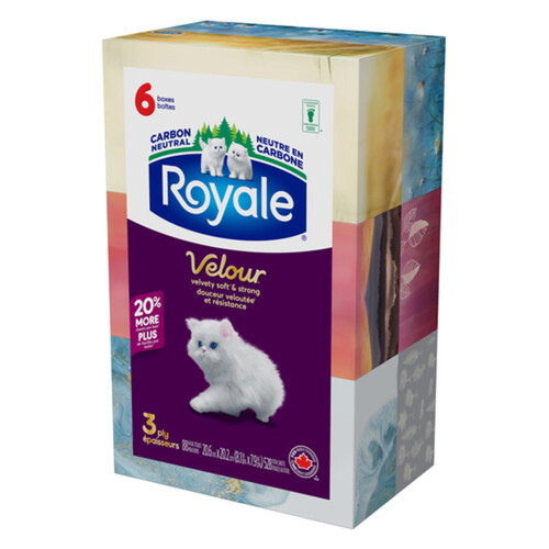 Royale Facial Tissues 3-Ply 6 Boxes x 88 Sheets