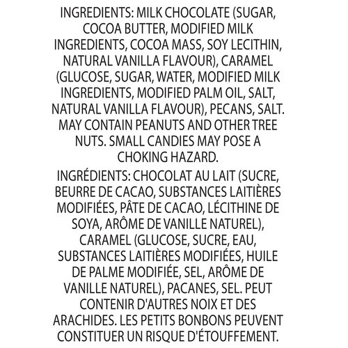 Nestlé Turtles Chocolate Bites Salted Caramel & Pecans 49 g