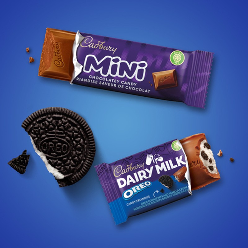 Cadbury Assorted Chocolatey Candy Mini Bars 45 Mini Bars 593 g - Voilà ...