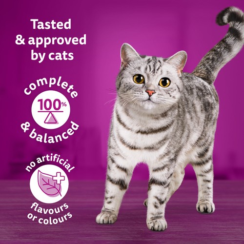 Whiskas Adult Dry Cat Food High Protein Chicken 3 kg